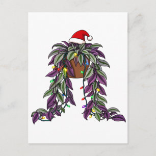 String of Pearls Hanging Plant Santa Hat Christmas Holiday Postcard