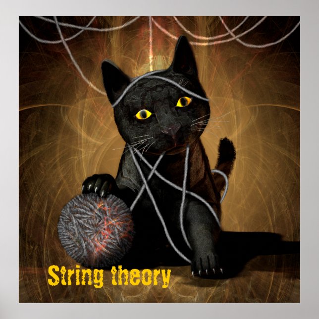 String theory cat poster (Front)