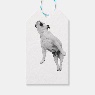 String-Tie Serenity Gift Tags