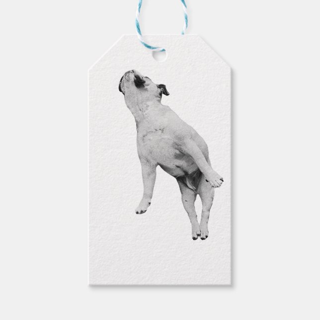 String-Tie Serenity Gift Tags (Front)