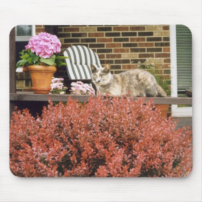 Strinka Mouse Mat (Front)