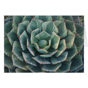 Striped agave card