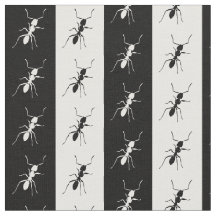 Striped Ants, Black and White