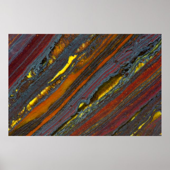 Striped Australian Tiger Eye Poster (Front)