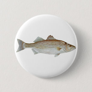 Striped Bass Art 6 Cm Round Badge