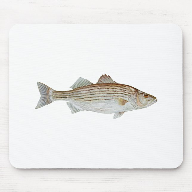 Striped Bass Art Mouse Mat (Front)