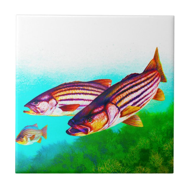 Striped Bass Atlantic Striper Tile (Front)