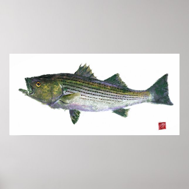 Striped Bass Gyotaku Open Edition Poster (Front)