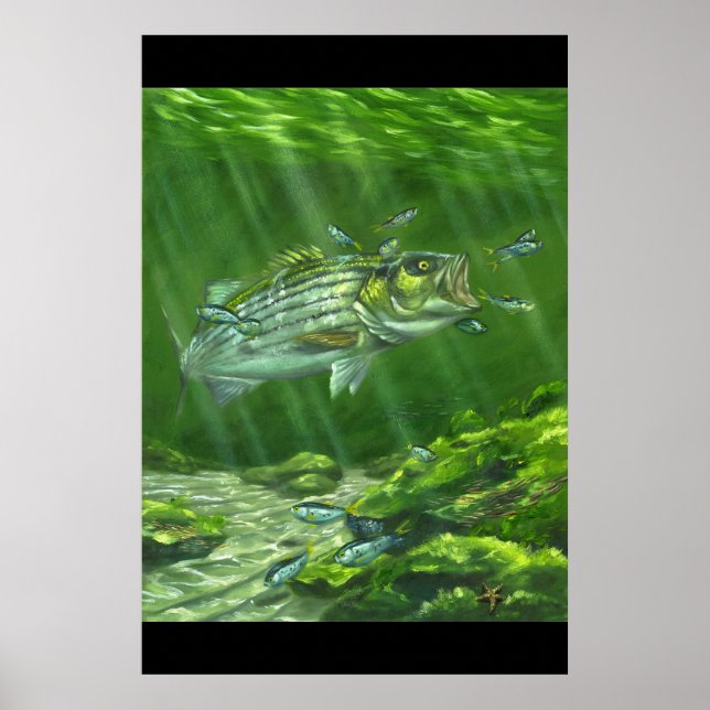 "Striped Bass on the Rocks" Poster (Front)