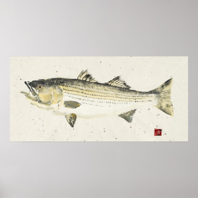 Striped Bass/ Speckled paper Poster (Front)