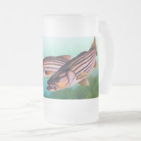 Striped Bass Swimming