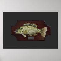 Striped Bass Trophy Plaque