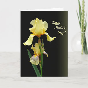 Striped Blossom Mothers Day Card