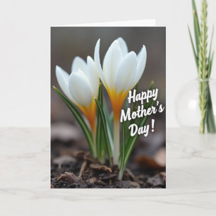 Striped Blossom Serenity Card