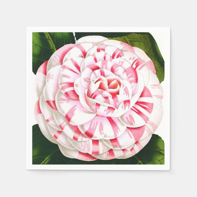 Striped candy cane camellia napkin (Front)