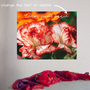 Striped carnations and gerbera poster