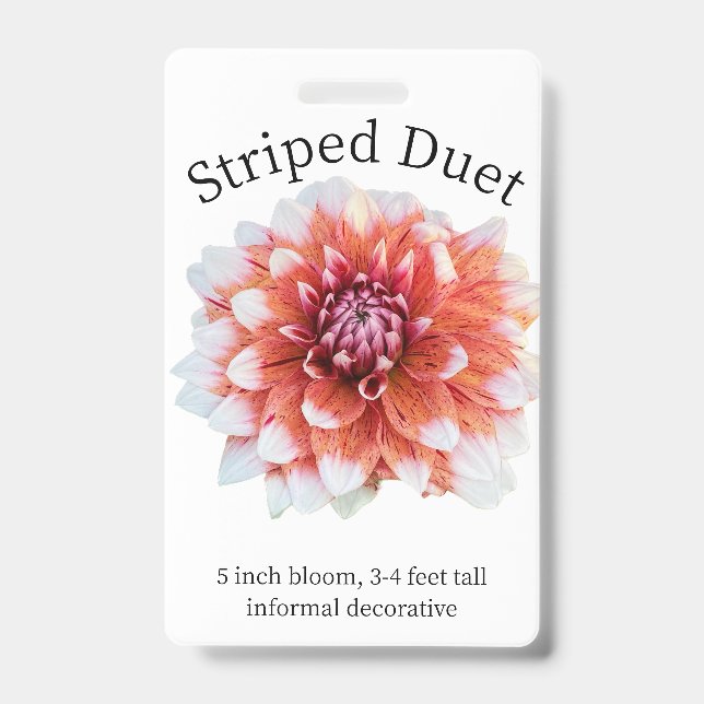 Striped Duet Dahlia ID Badge (Front)