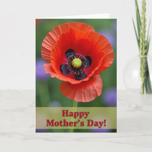 Striped Flower Message Card