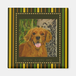 Striped Golden Retriever Magnet AZGRC