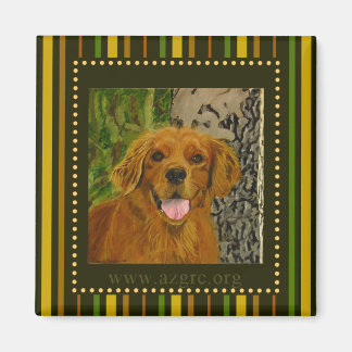 Striped Golden Retriever Magnet AZGRC