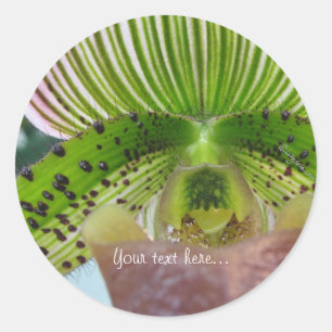 Striped Green Slipper Orchid Envelope Seal