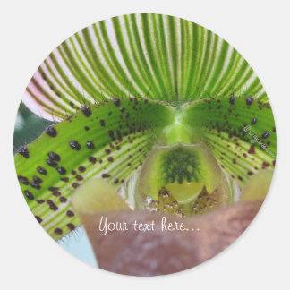 Striped Green Slipper Orchid Envelope Seal