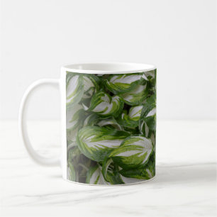Striped hosta plant coffee mug