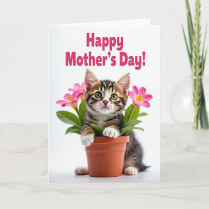 Striped Kitten Celebration Card