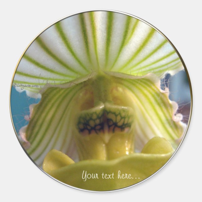 Striped Lime Green Slipper Orchid Wedding Seal (Front)