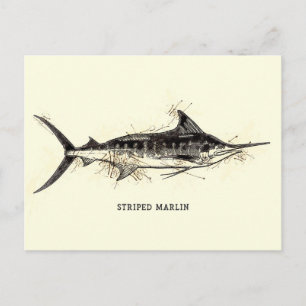 Striped Marlin Vintage Illustration Sketch Artwork Postcard