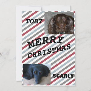 Striped Merry Christmas Pet Duo Blue Grey Holiday Card