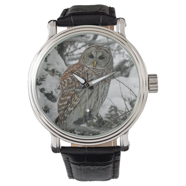 Striped Owl Watch (Front)
