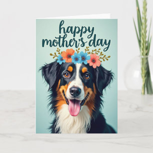 Striped Pattern Pet Card