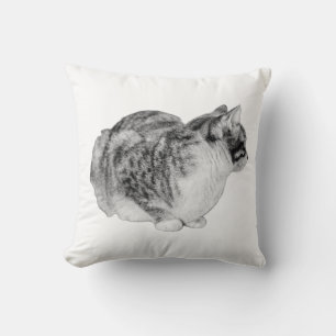 Striped Reflection Cushion