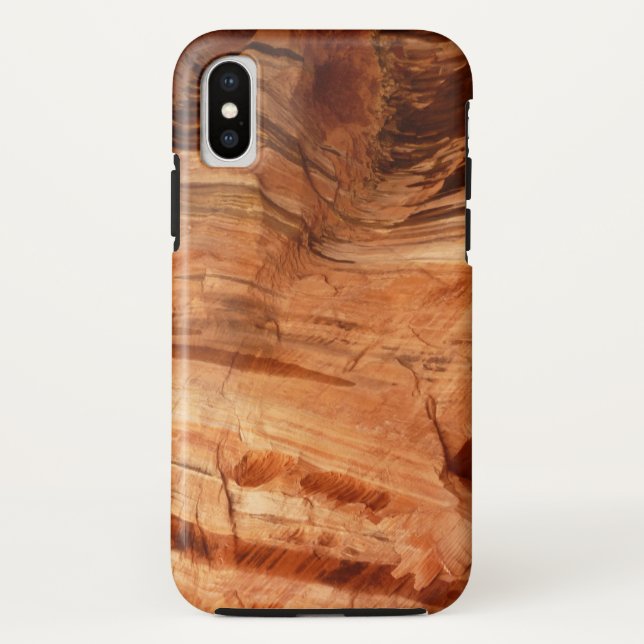 Striped Rock of Double Arch Alcove I from Zion Case-Mate iPhone Case (Back)