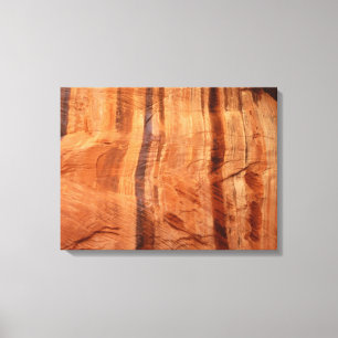 Striped Rock of Double Arch Alcove II at Zion Canvas Print