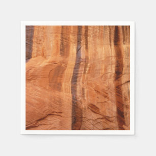 Striped Rock of Double Arch Alcove II at Zion Napkin