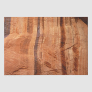 Striped Rock of Double Arch Alcove II at Zion Tissue Paper
