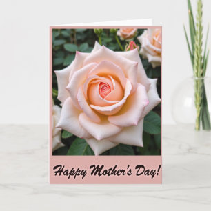 Striped Rose Petals Card