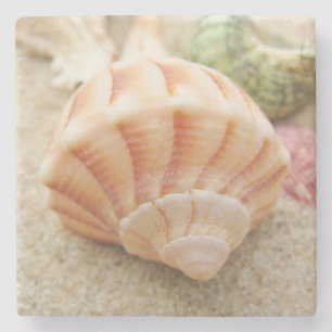 Striped Sea Shell Lightning Whelk Stone Coaster