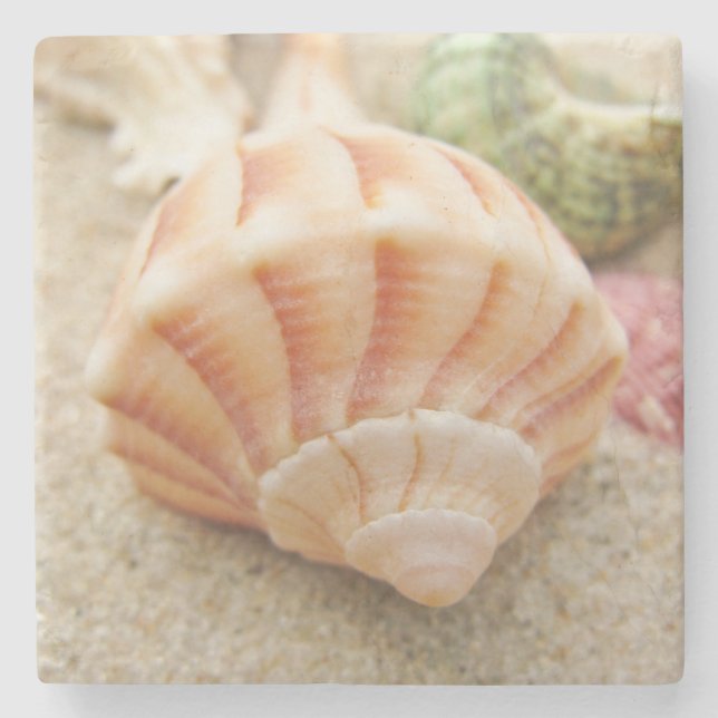 Striped Sea Shell Lightning Whelk Stone Coaster (Front)