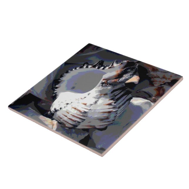 Striped Sea Shell Tile (Side)