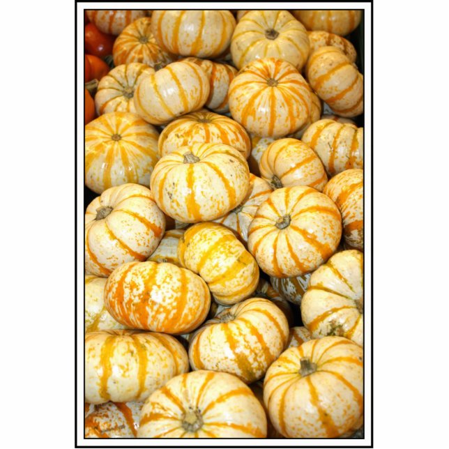 Striped White Mini Pumpkins Standing Photo Sculpture (Front)