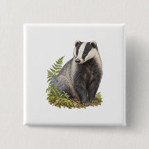 Striped Woodland Badger with Ferns and Bluebells