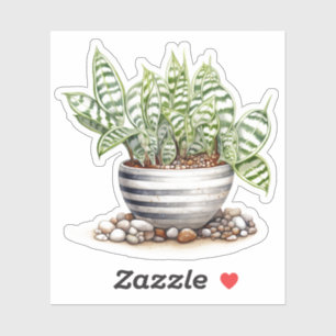 Striped Zebra Haworthia Pot Plant Vinyl Sticker