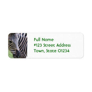 Striped Zebra Return Address Label