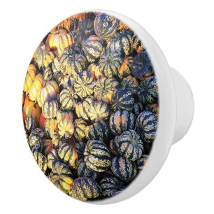 Stripes And Pumpkins Ceramic Knob