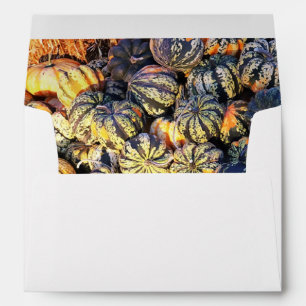 Stripes And Pumpkins Envelope