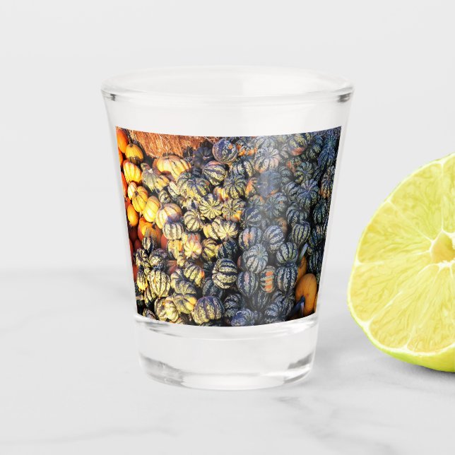 Stripes And Pumpkins  Shot Glass (Front)