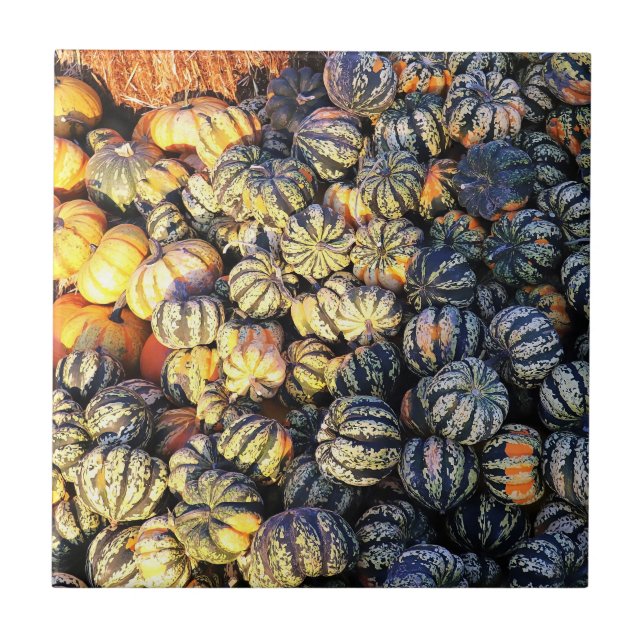 Stripes And Pumpkins  Tile (Front)